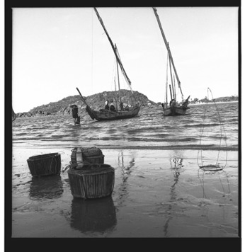 Fishermen bring baskets of fish ashore